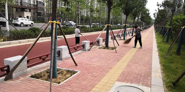 道路護(hù)欄樣式圖